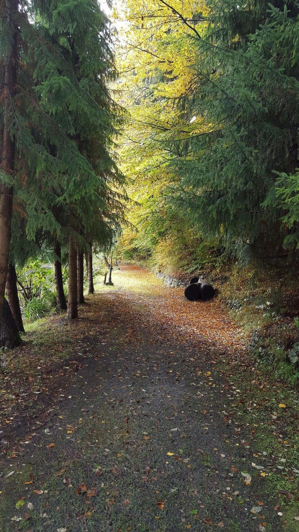Waldhotel Zur Holzmuhle Eldagsen Exterior foto
